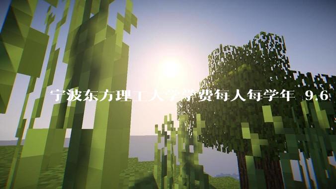 宁波东方理工大学学费每人每学年 9.6 万，为什么会这么贵？