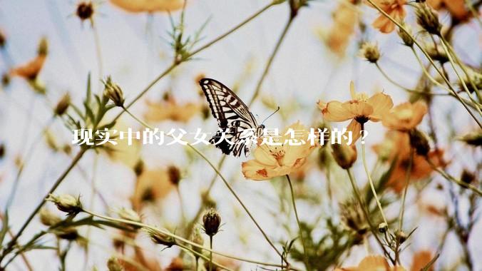 现实中的父女关系是怎样的?
