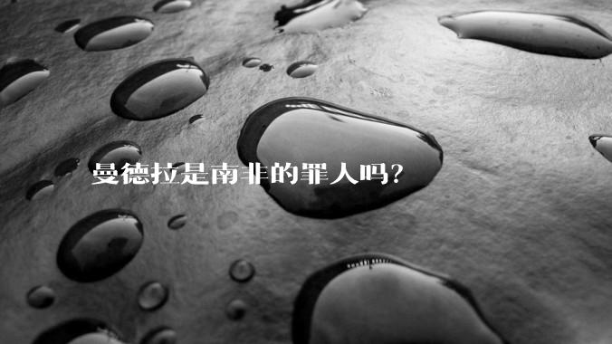 曼德拉是南非的罪人吗？