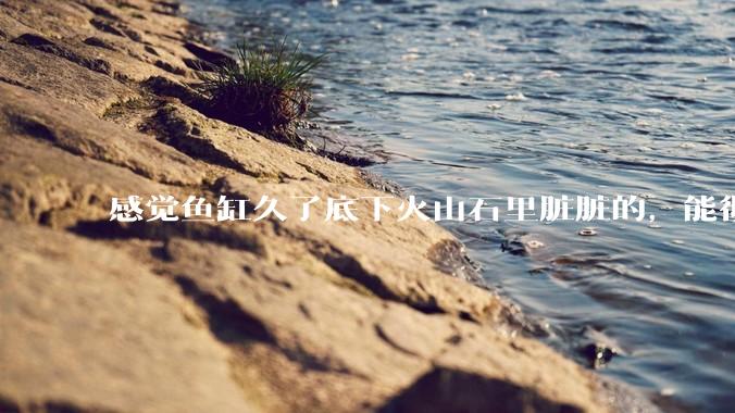 感觉鱼缸久了底下火山石里脏脏的，能彻底换水清理一遍不？