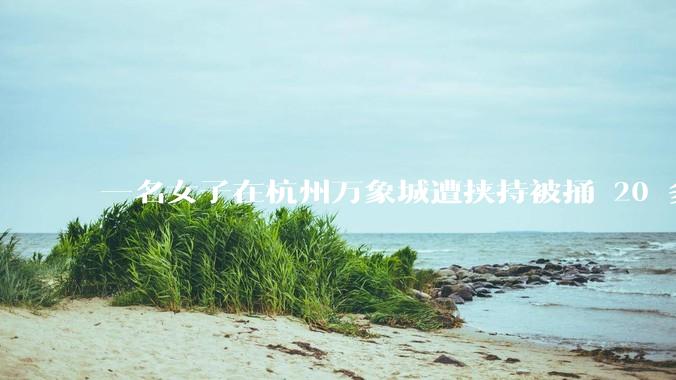 一名女子在杭州万象城遭挟持被捅 20 多刀，隆胸***体救了一命，这反映出哪些公安系统的问题？