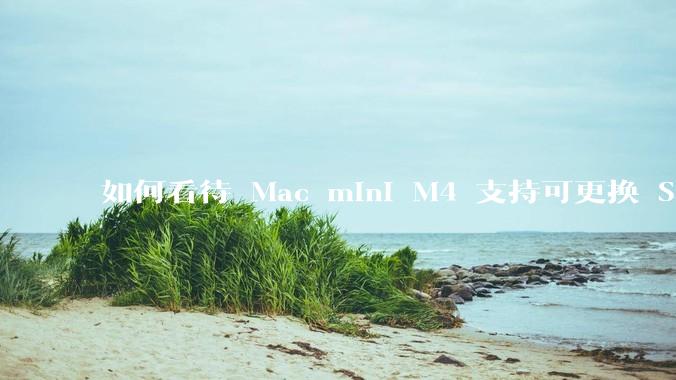 如何看待 Mac mini M4 支持可更换 SSD？